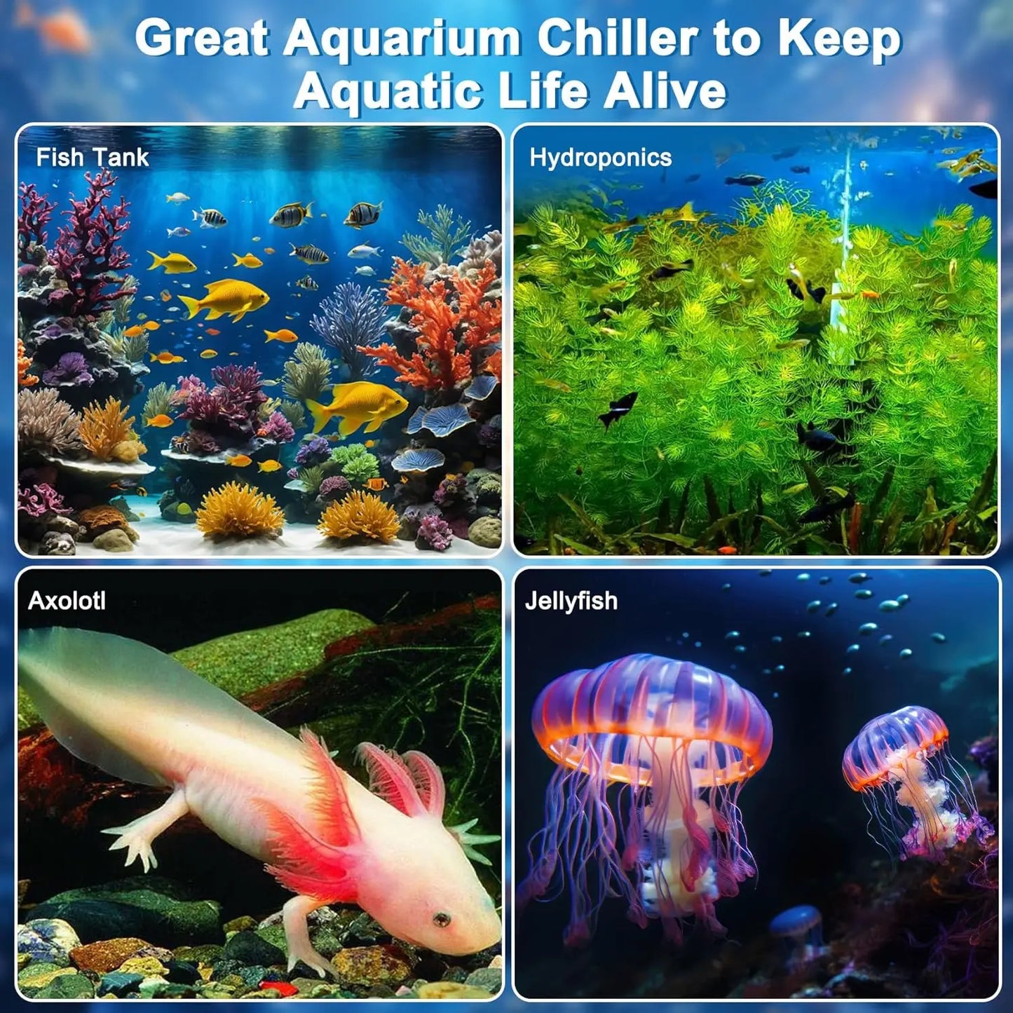 Aquarium Chiller For Fish Tanks 1/3HP Remote Control Pump