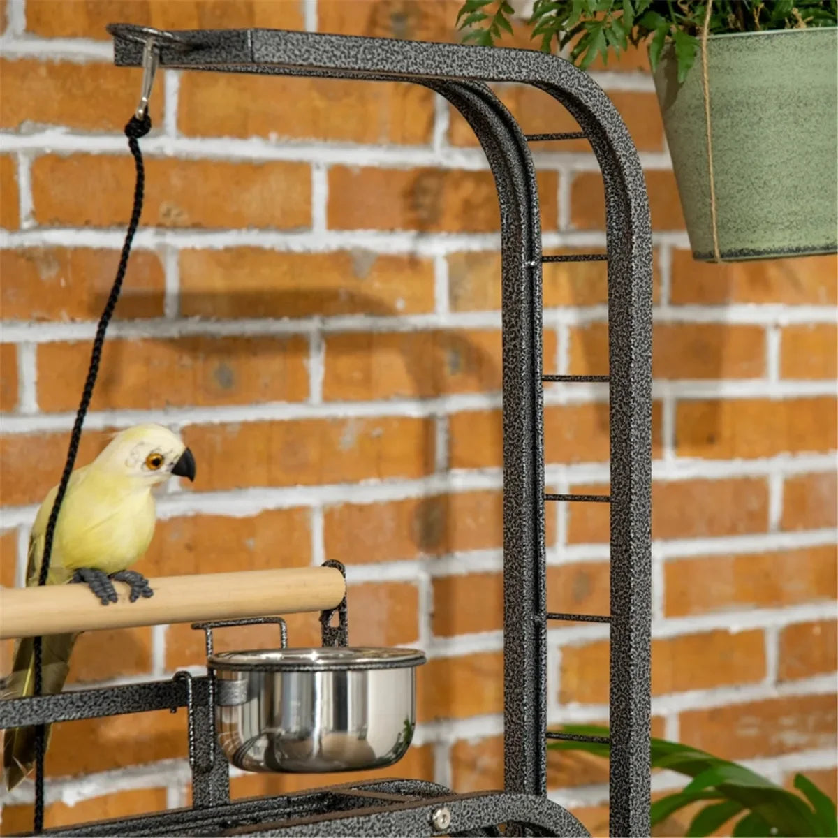 Sturdy Bird Perch Stand With Toy Hook And Three Ladders