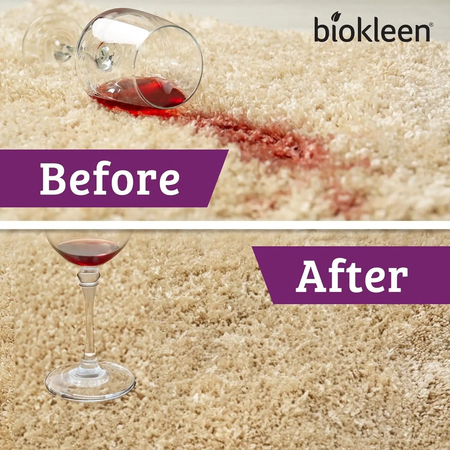 Enzyme Stain Odor Remover For Pets Carpets Eco Friendly