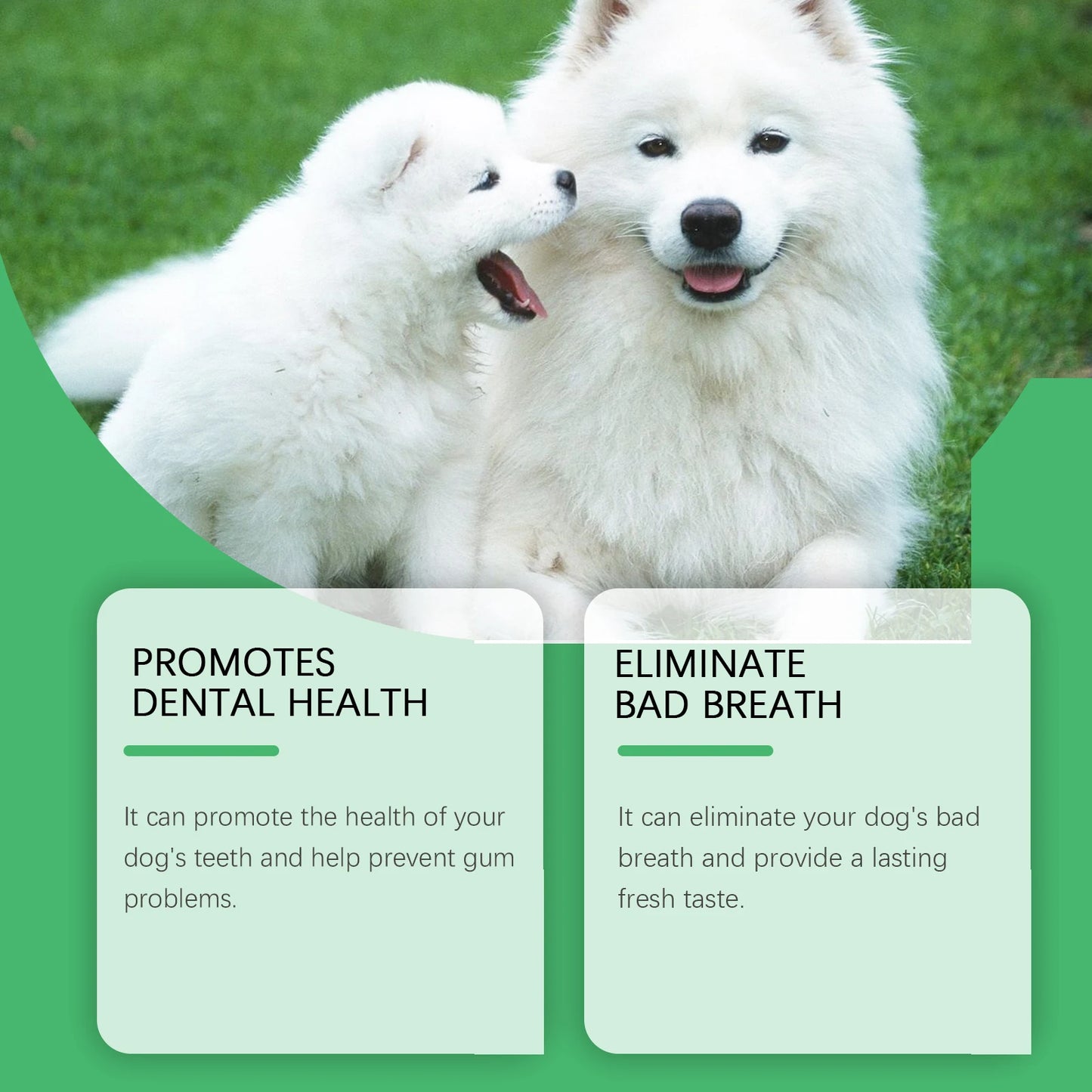YEGBONG Pet Oral Care Spray Natural Removes Stains And Tartar