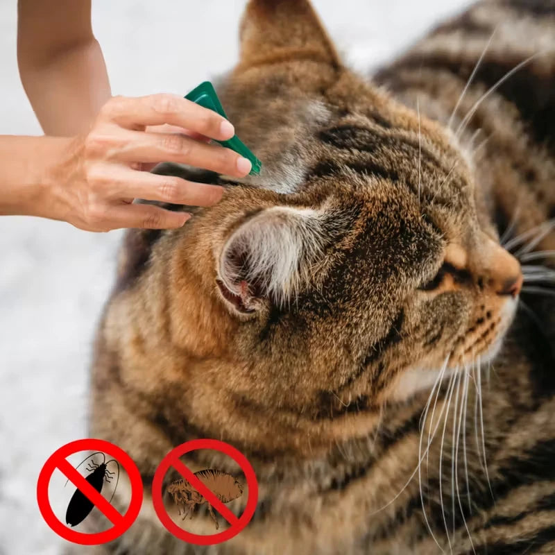 Potent Pet Flea And Tick Repellent External Deworming Drops