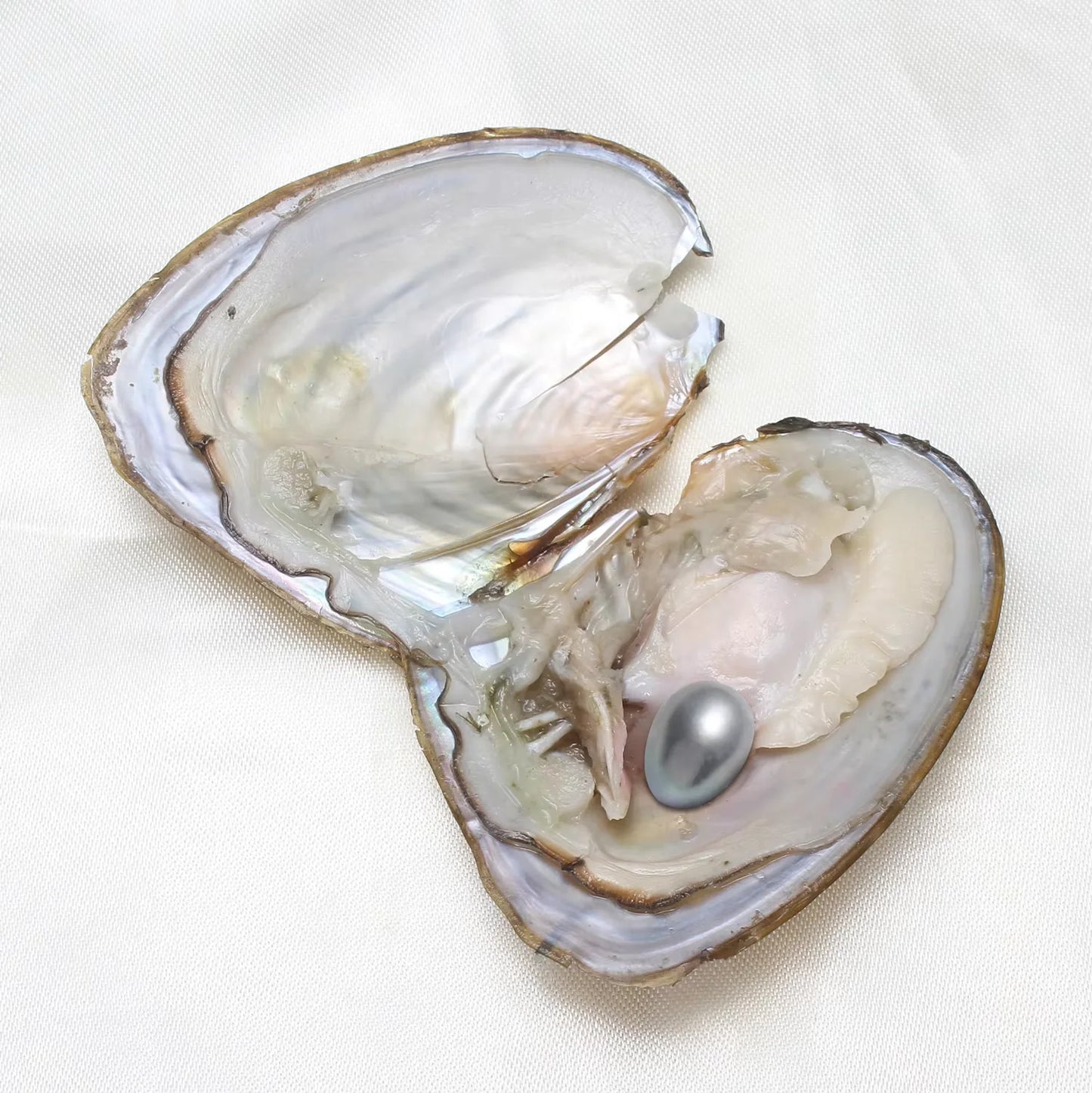 Freshwater Pearl Beads Oval For DIY Jewelry Craft Projects