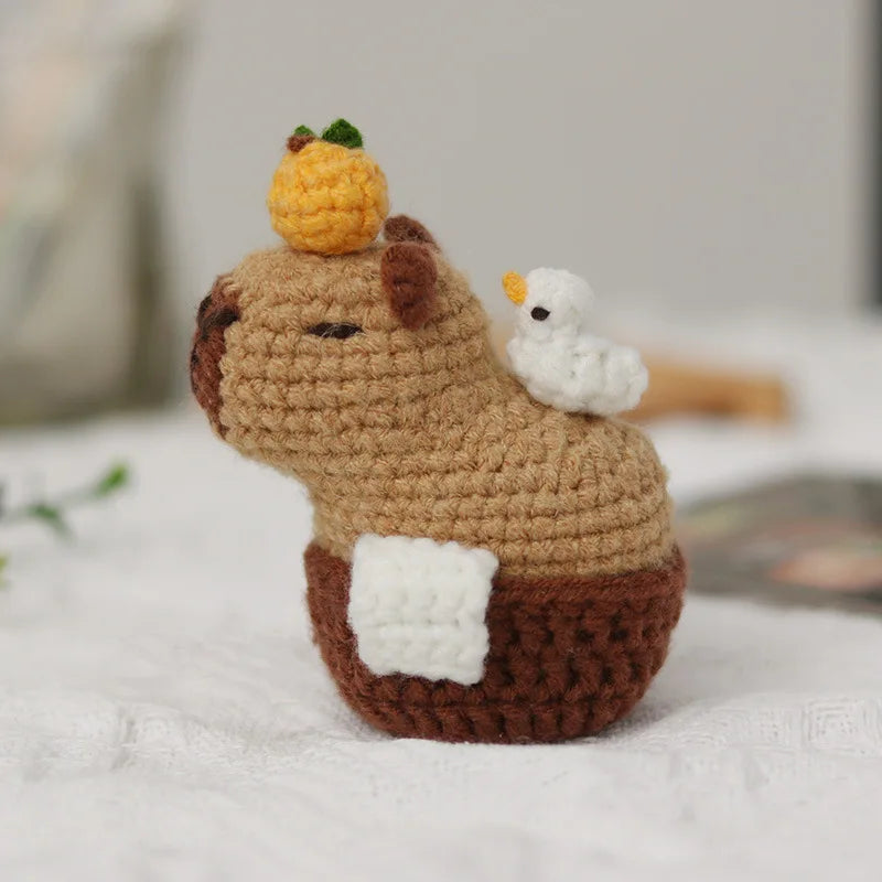 Capybara And Turtle Crochet Kit Beginner Friendly Animal Craft Set