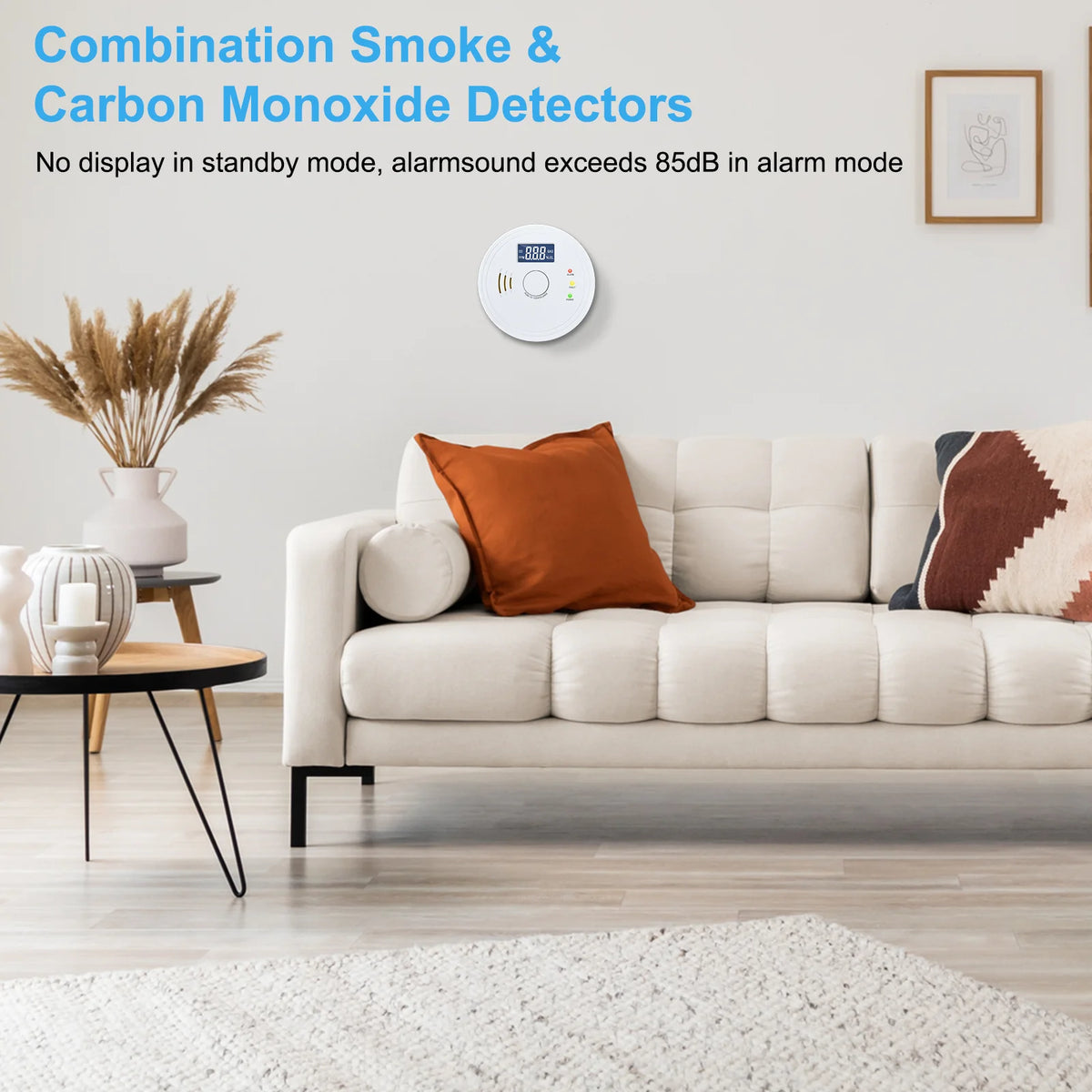 Battery Operated Smoke and Carbon Monoxide Detector Combo