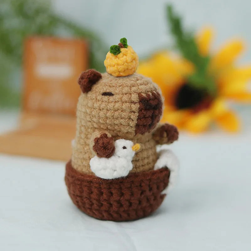 Capybara And Turtle Crochet Kit Beginner Friendly Animal Craft Set