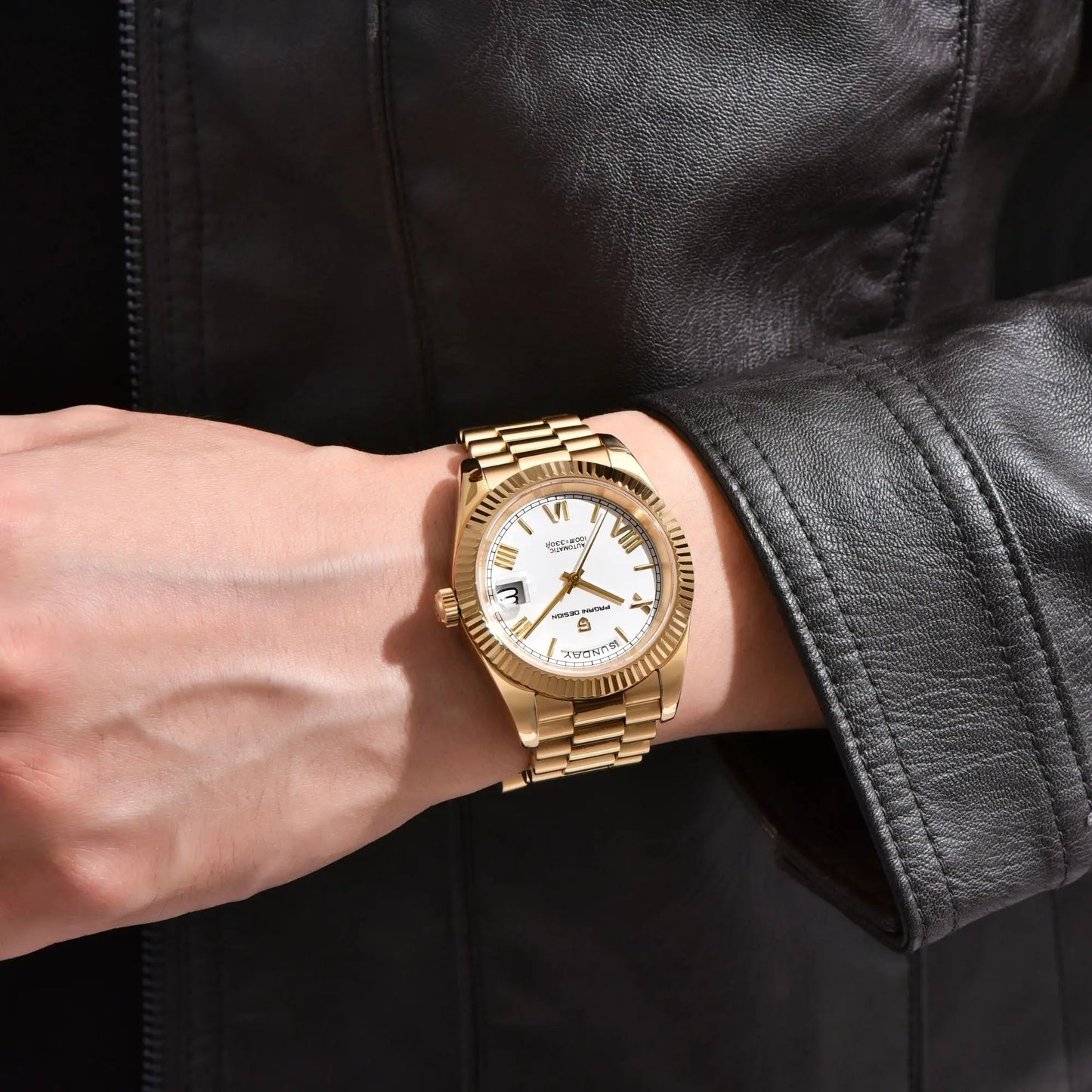 PAGANI DESIGN DD36 Automatic Mechanical Watch For Men Sapphire Glass