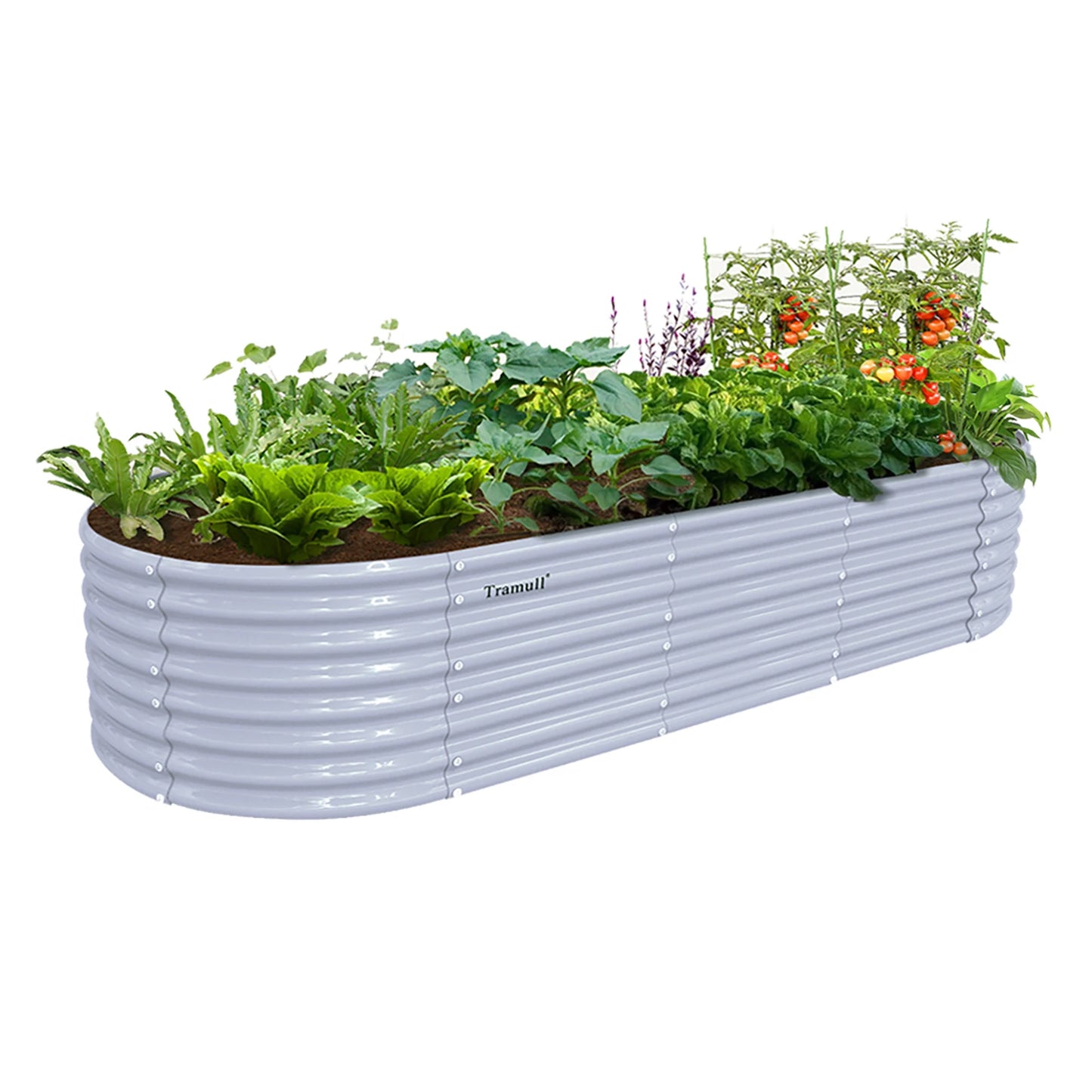 8x3x2FT Galvanized Raised Garden Bed Kit Oval Metal Ground Bottomless Planter Box Outdoor for Vegetables Flowers Herbs Fruits