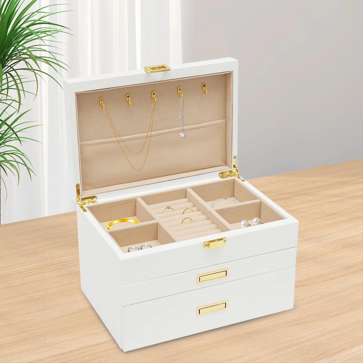 Plastic Jewelry And Watch Display Case Organizer Storage Box
