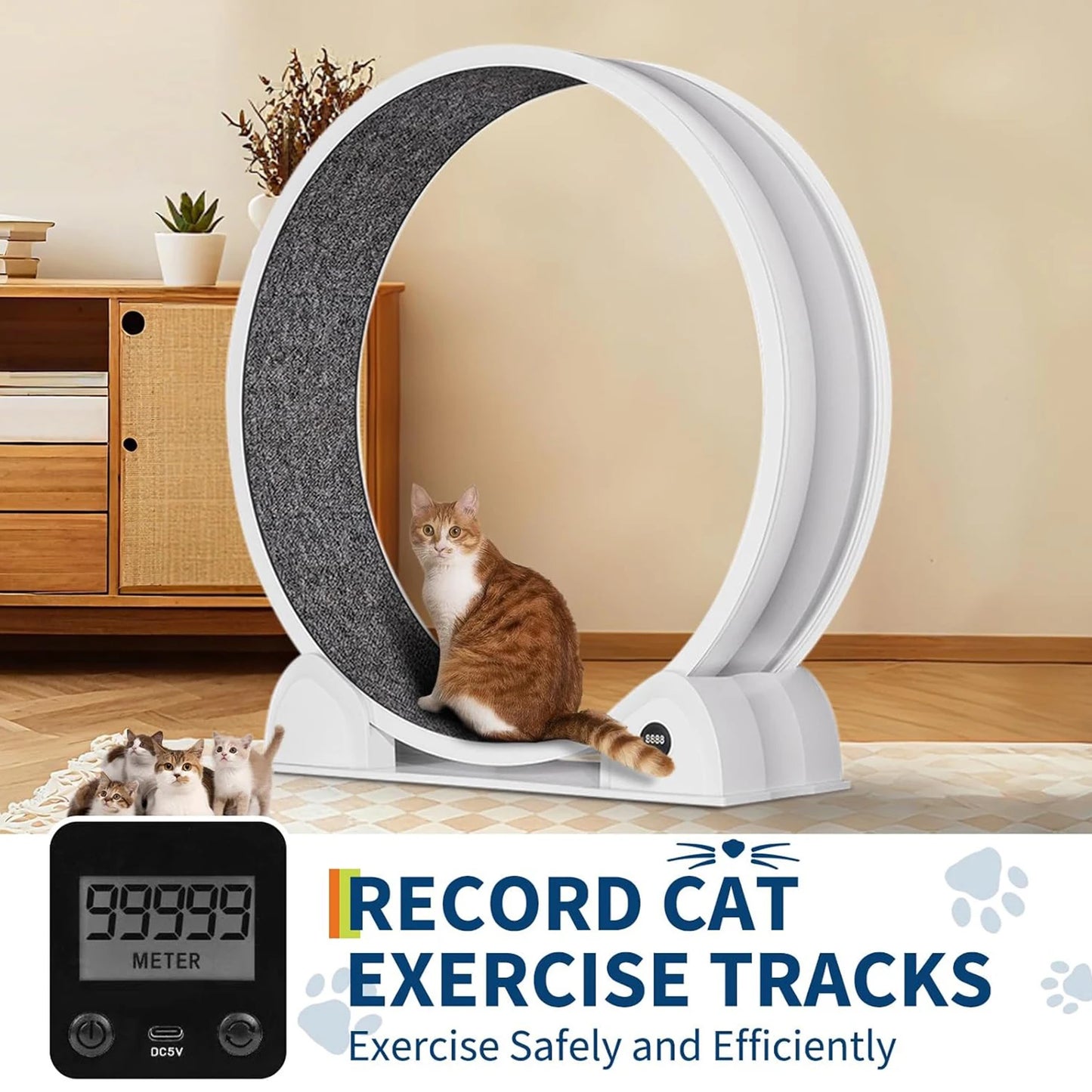 HiMISS Cat Exercise Wheel For Indoor Cats Quiet Pedometer Treadmill