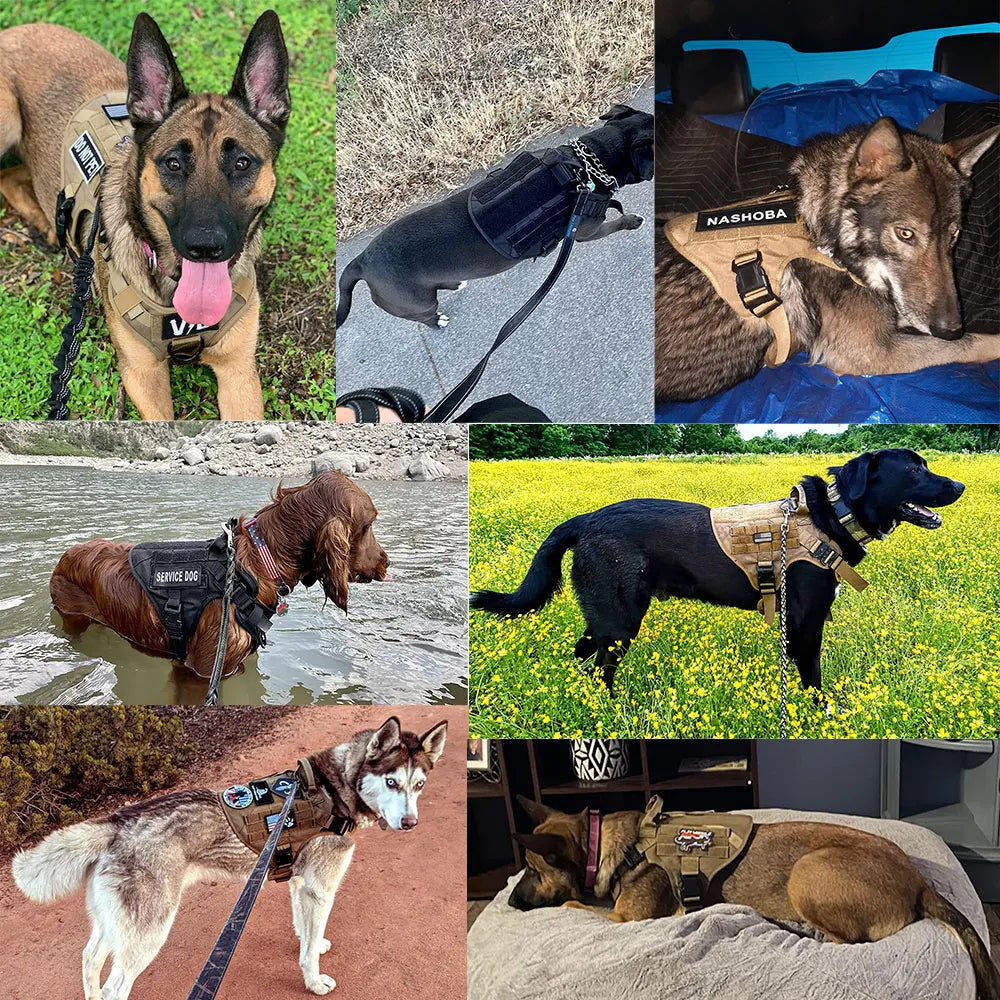 Dog Harness Leash Set Nylon Padded Quick Release Buckle Training