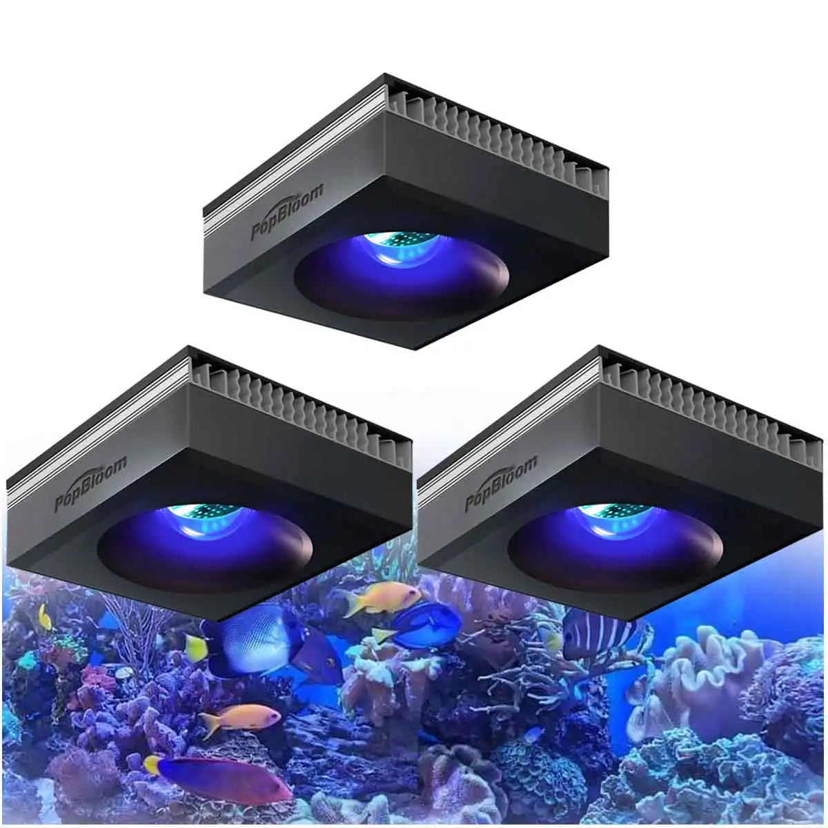 PopBloom RL90 WiFi Reef Aquarium Light 100W LED