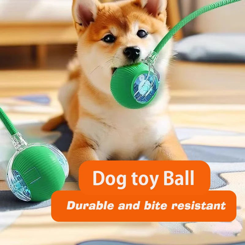Dog Interactive Ball Toy Automatic Rolling Ball For Dogs