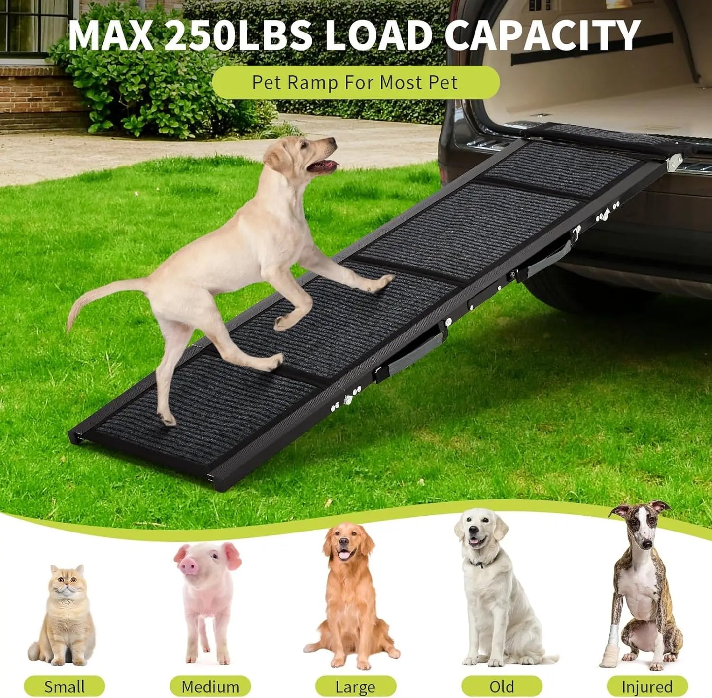 HiMISSDog Dog Ramp for Car Folding Pet Steps