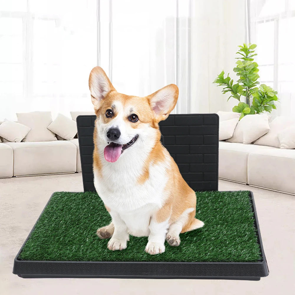 MOJOYCE Dog Grass Pad With Large Tray Reusable Indoor Potty