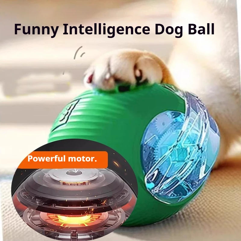 Dog Interactive Ball Toy Automatic Rolling Ball For Dogs