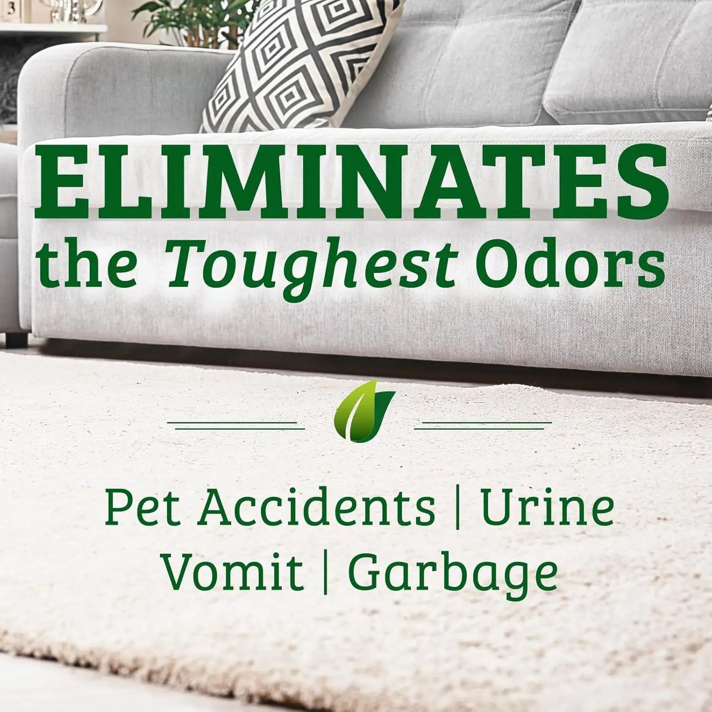 Enzyme Stain Odor Remover For Pets Carpets Eco Friendly