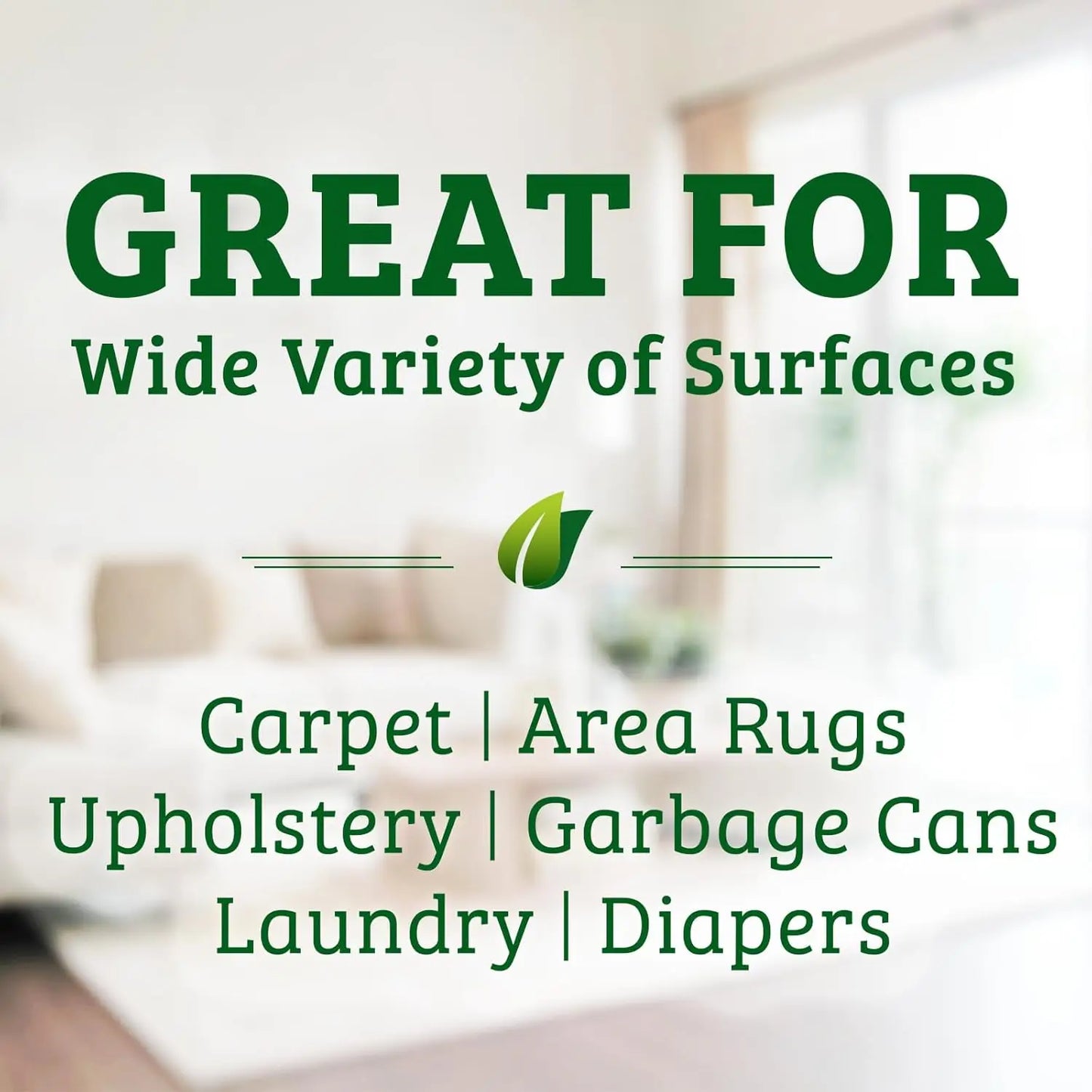 Enzyme Stain Odor Remover For Pets Carpets Eco Friendly