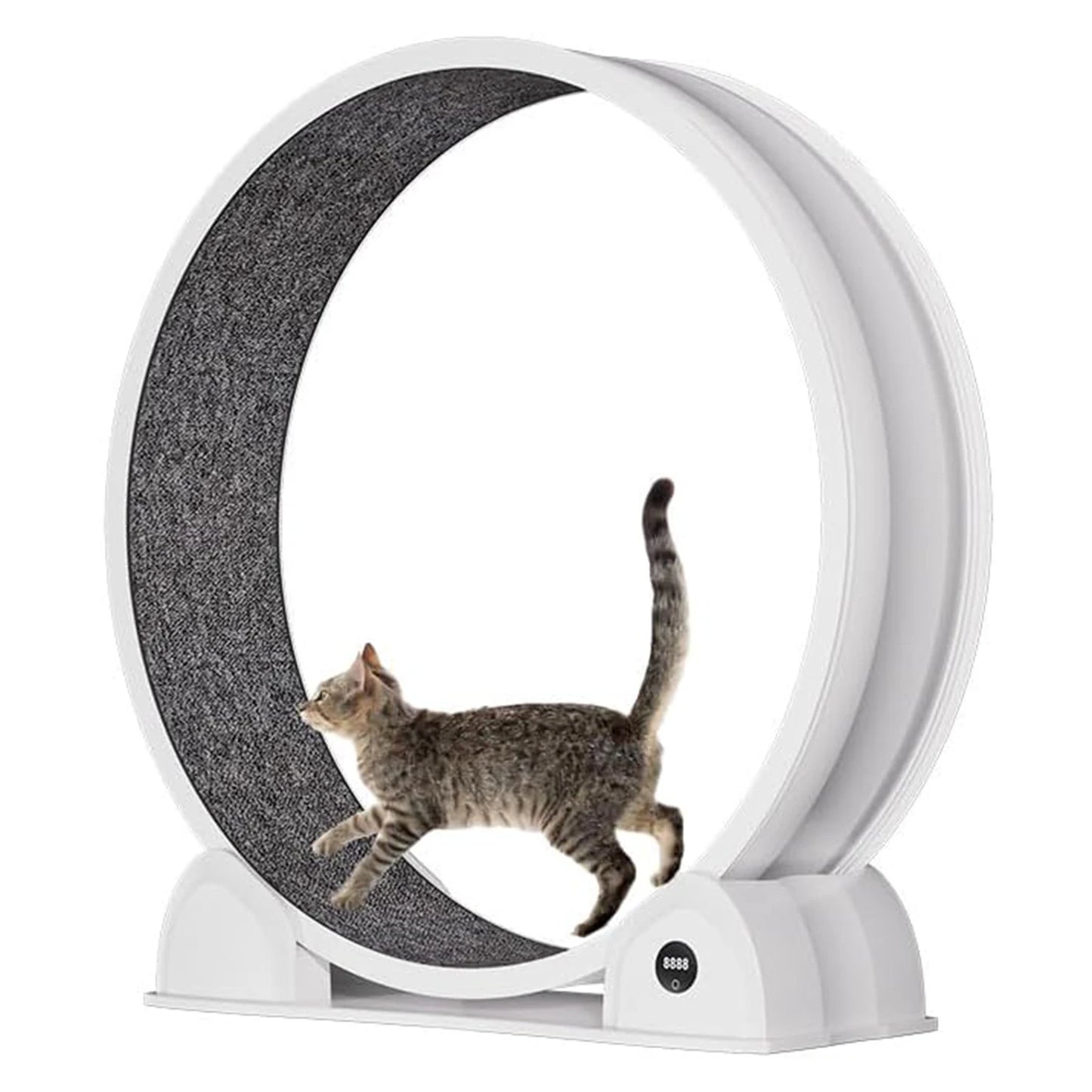 HiMISS Cat Exercise Wheel For Indoor Cats Quiet Pedometer Treadmill