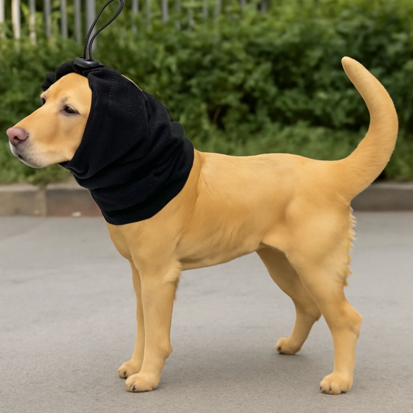 Dog Noise Reduction Scarf For Pets With Ear Cups Warm