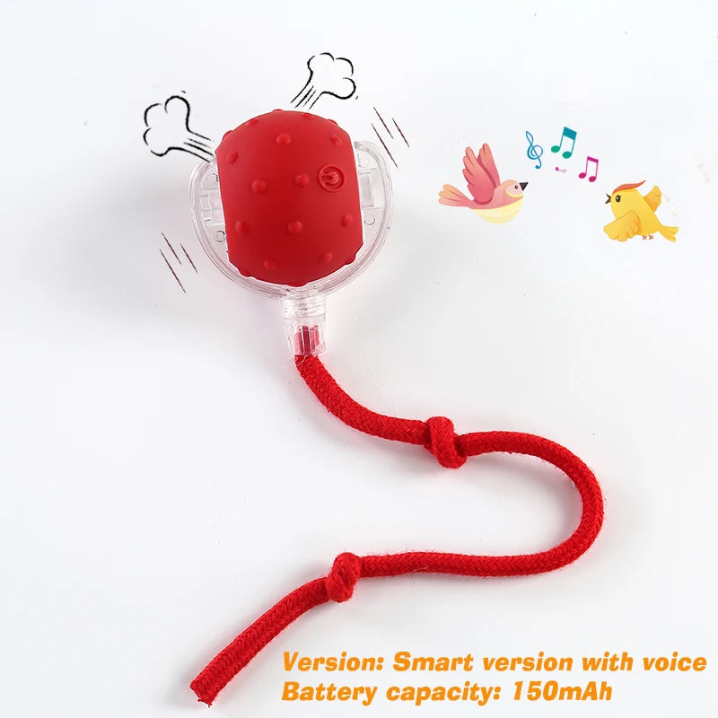 Dog Interactive Ball Toy Automatic Rolling Ball For Dogs