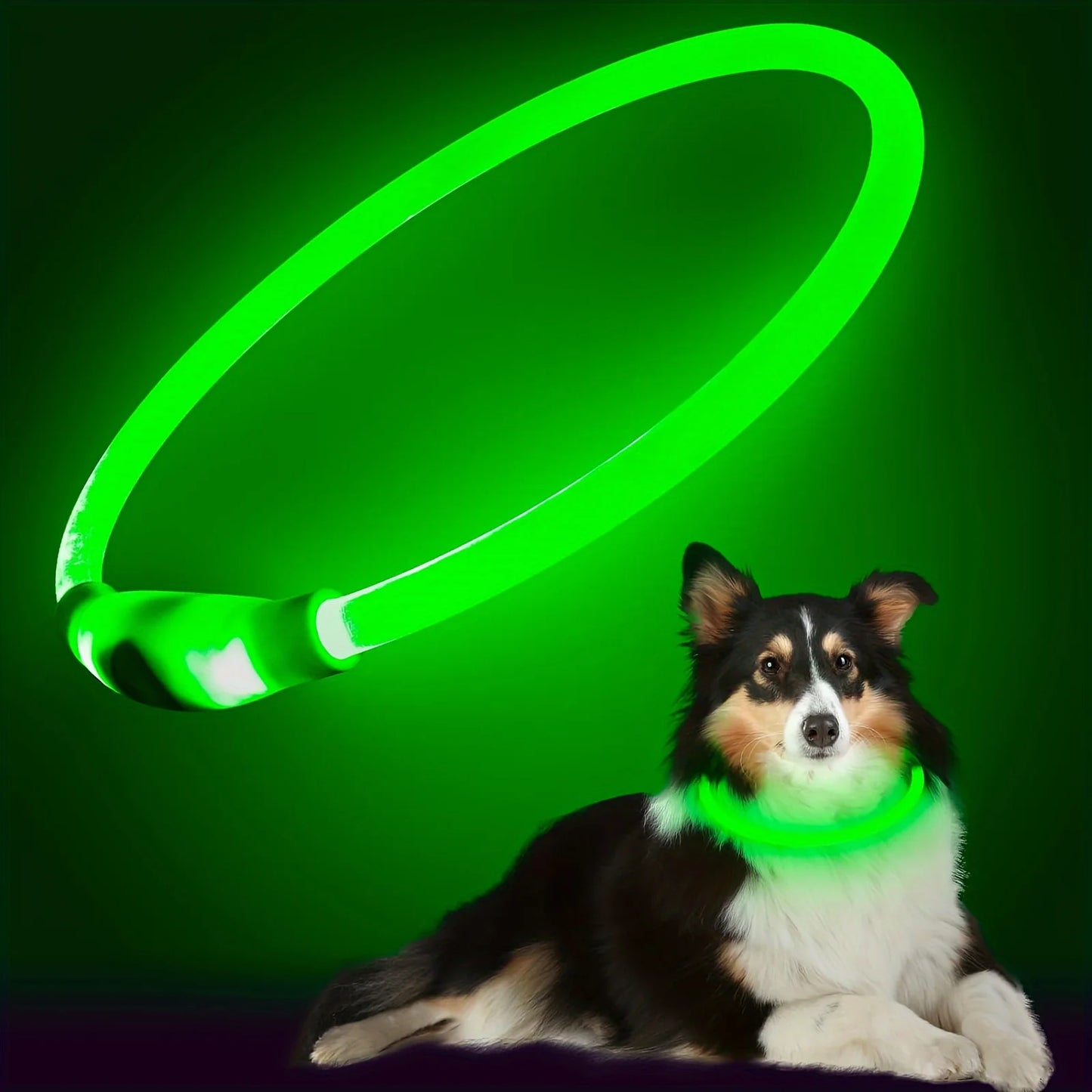 LED Reflective Dog Collar USB Rechargeable Luminous Anti Lost