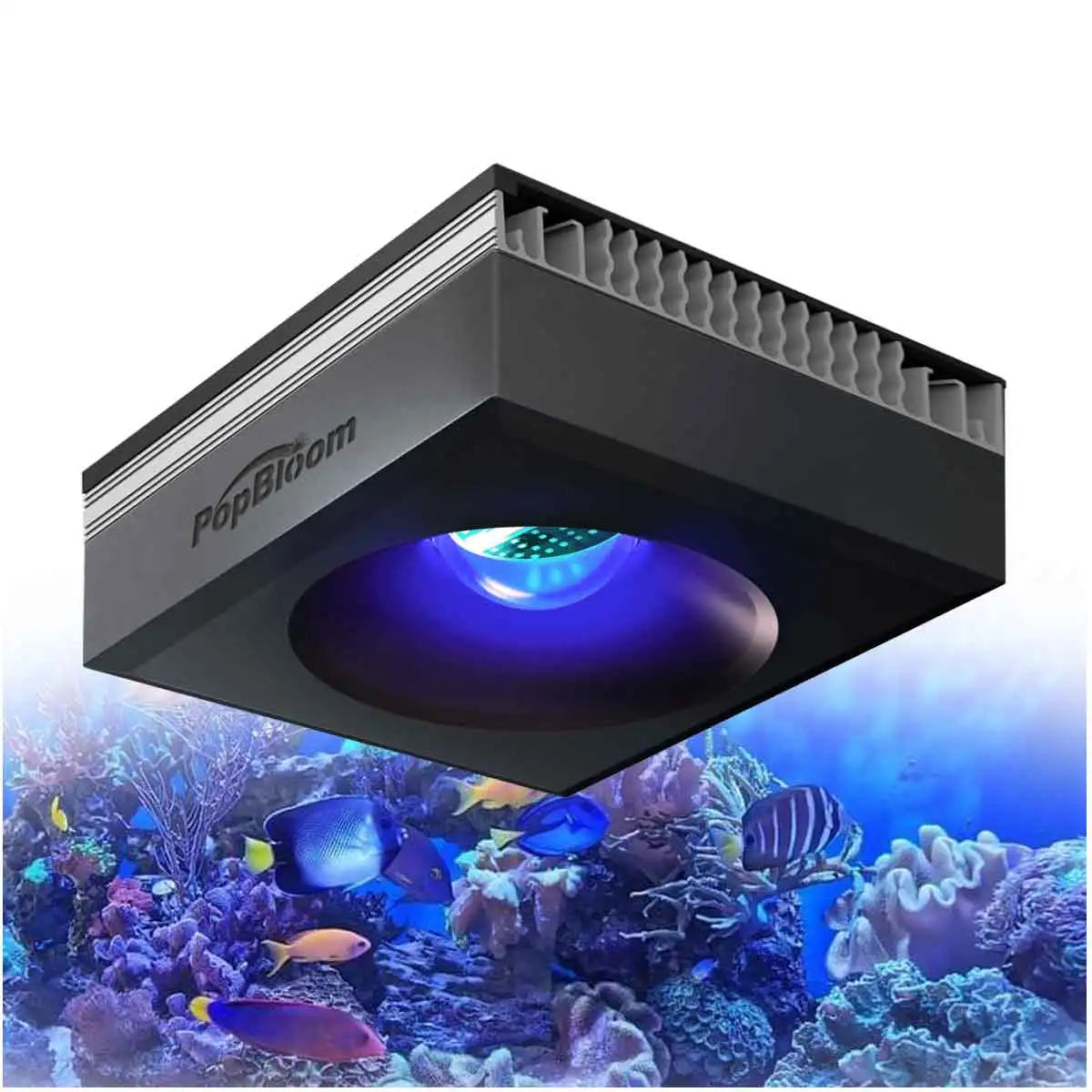 PopBloom RL90 WiFi Reef Aquarium Light 100W LED