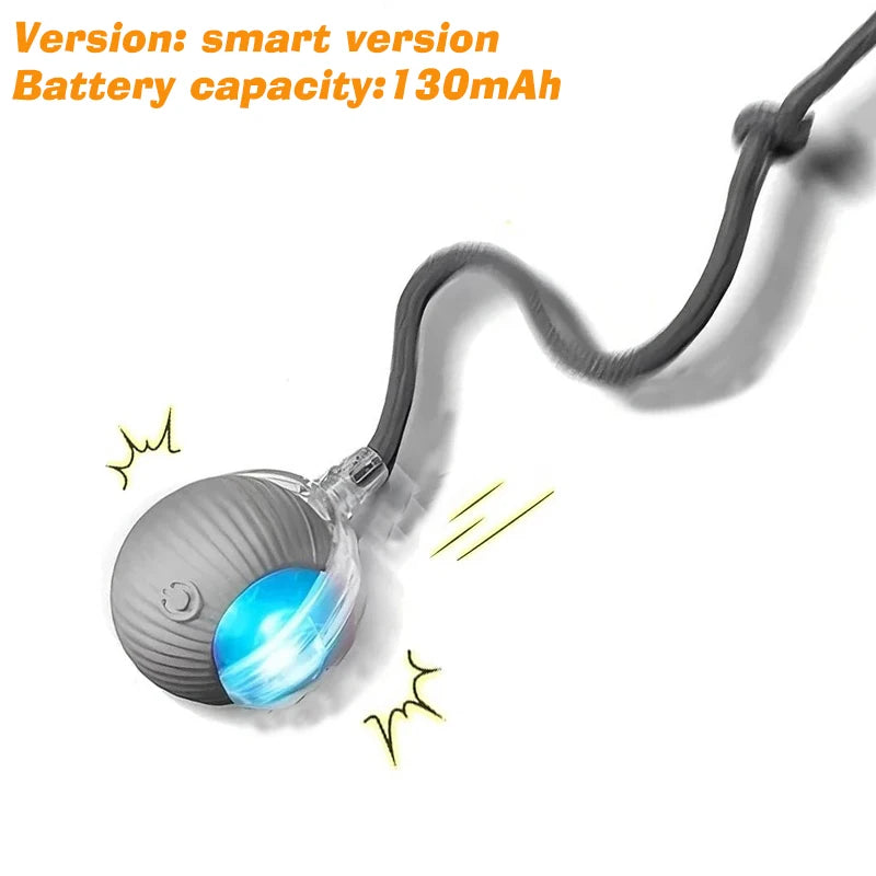 Dog Interactive Ball Toy Automatic Rolling Ball For Dogs