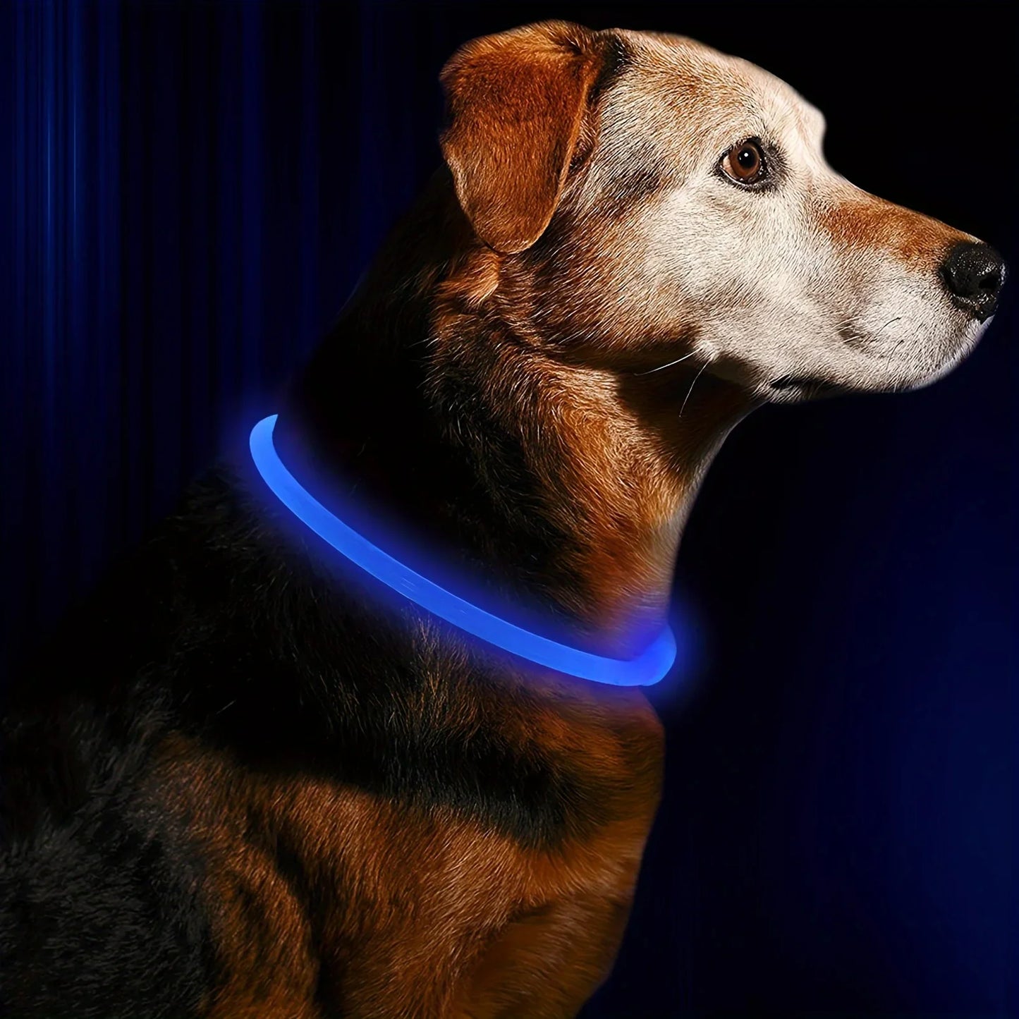 LED Reflective Dog Collar USB Rechargeable Luminous Anti Lost
