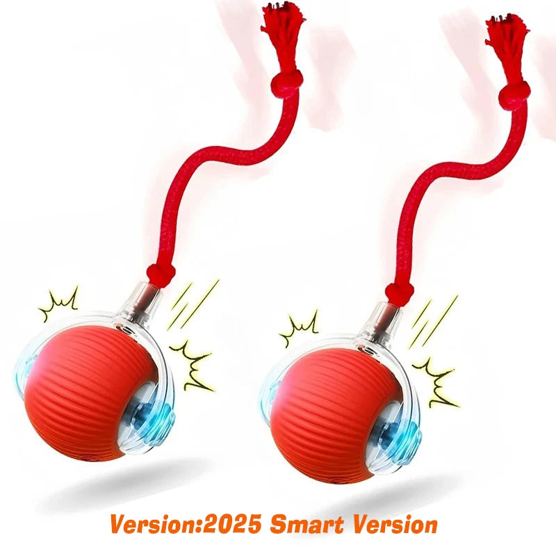Dog Interactive Ball Toy Automatic Rolling Ball For Dogs