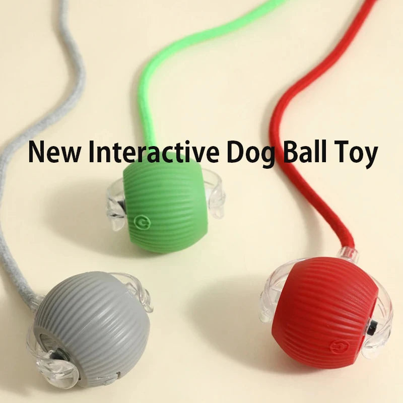 Dog Interactive Ball Toy Automatic Rolling Ball For Dogs