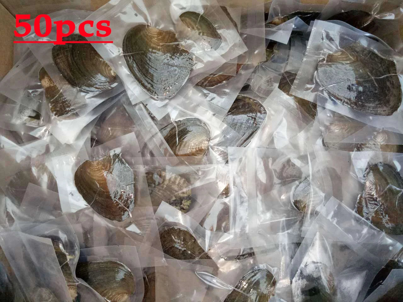 Natural Cultured Oyster Freshwater Pearl Beads Mixed Colors Jewelry Making