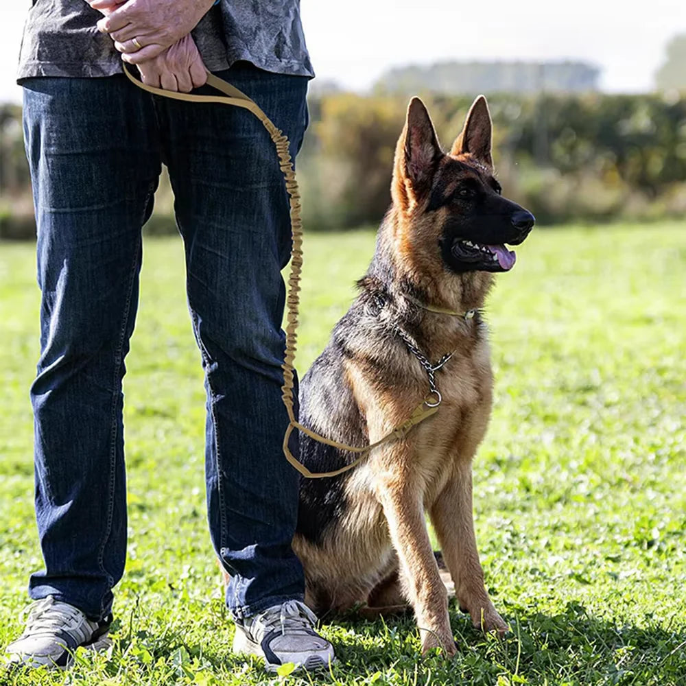 Petavel Adjustable Dual Handle Quick Release Nylon Dog Leash