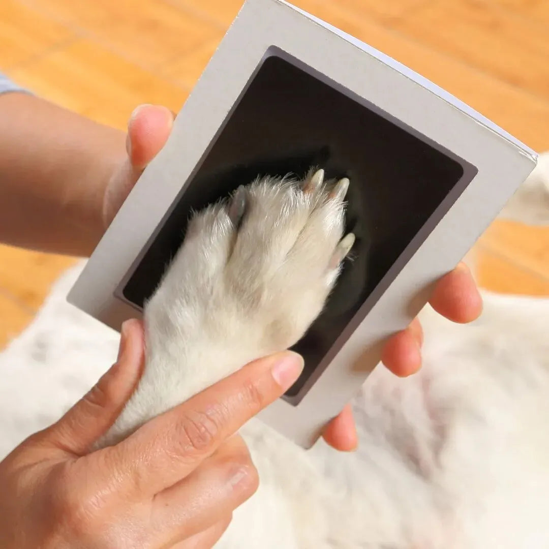 Paw Print Clean Touch Ink Pad Kit for Pets Keepsake