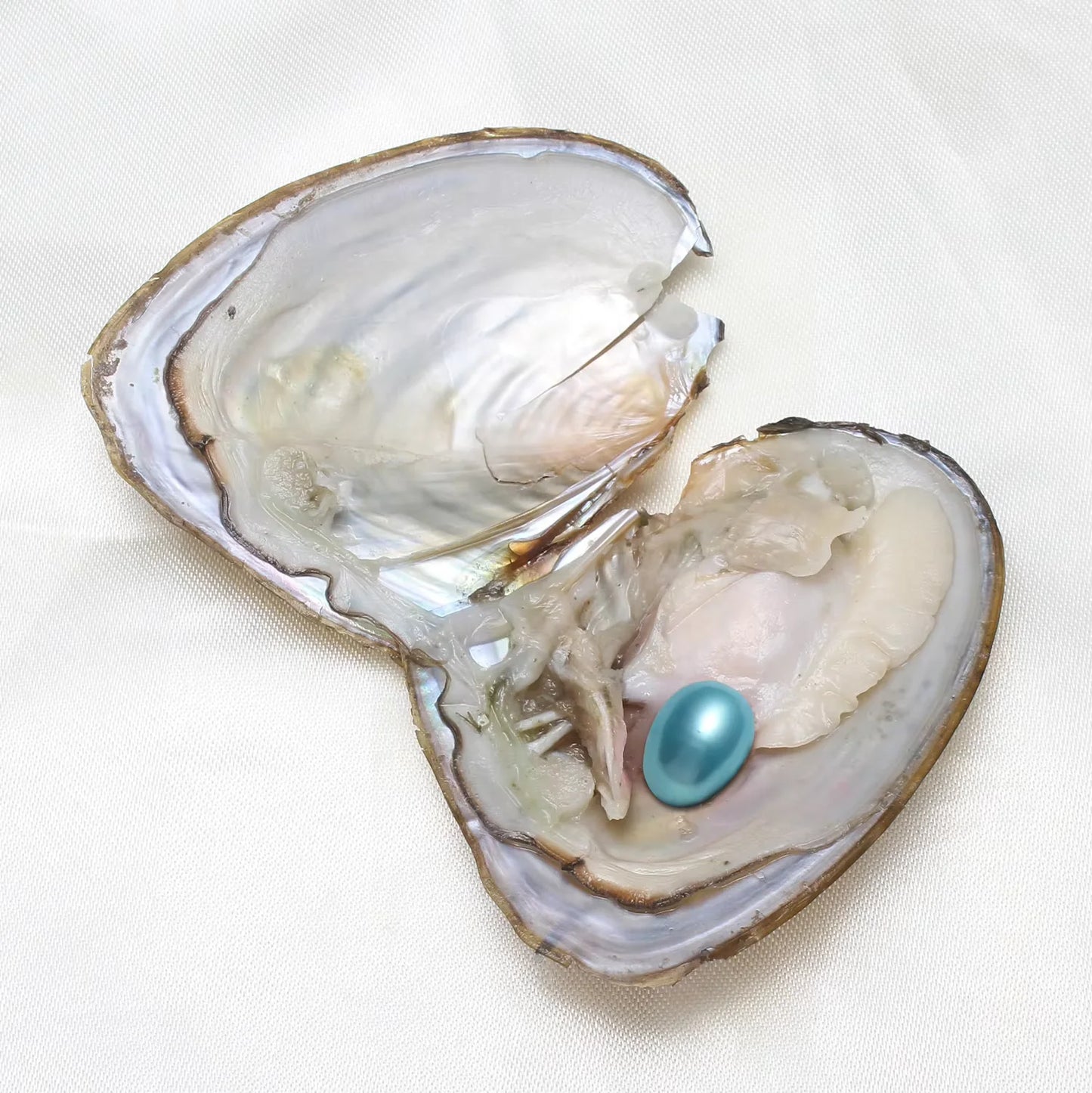 Freshwater Pearl Beads Oval For DIY Jewelry Craft Projects