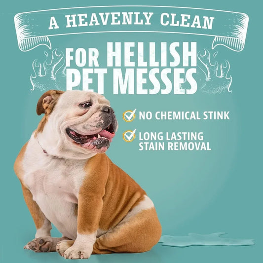Enzyme Pet Stain And Odor Remover Multi Surface Cleaner