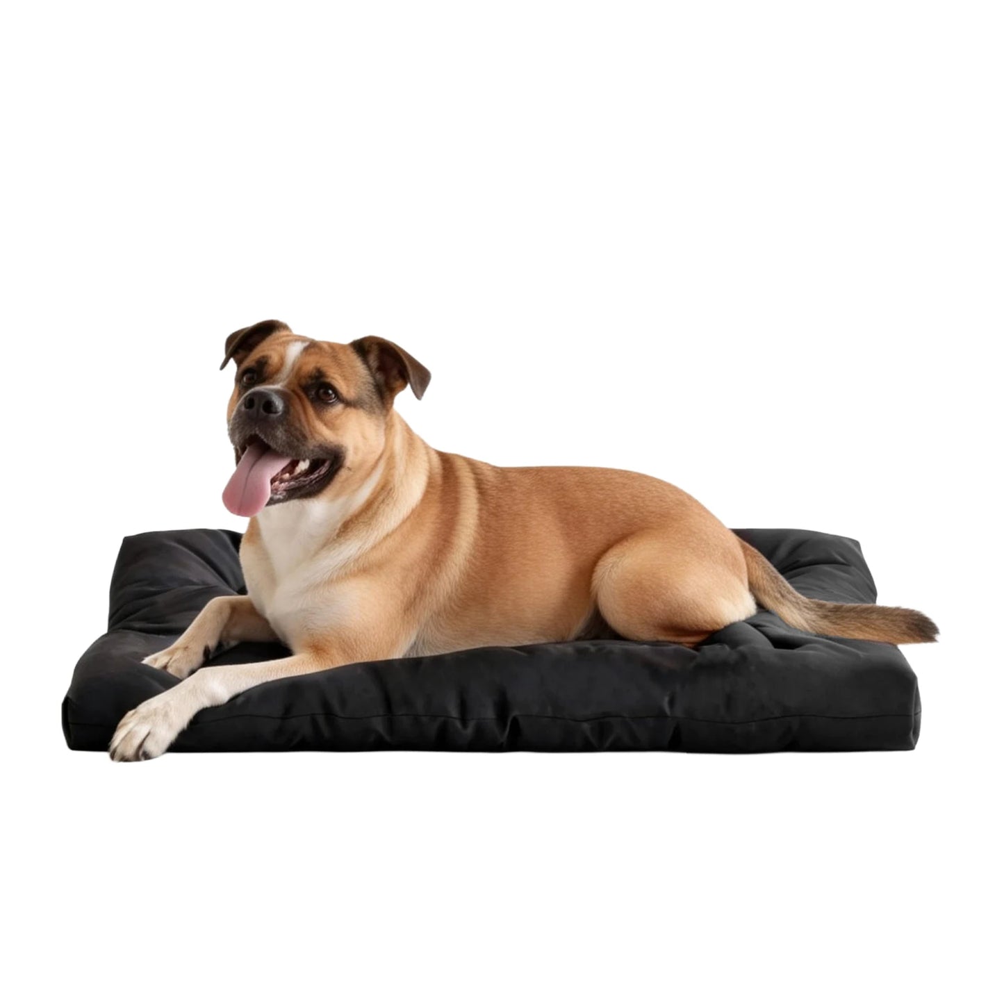 Waterproof Indestructible Chew Proof Dog Crate Bed For Pets